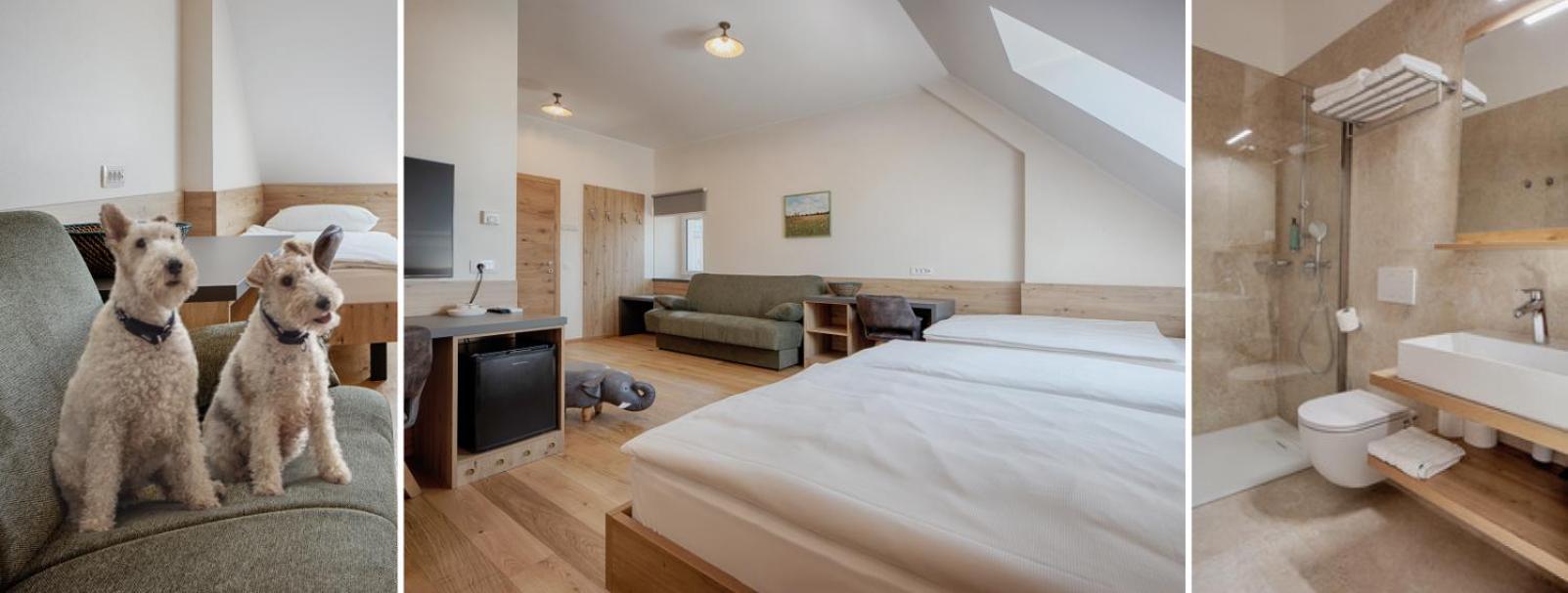 Guesthouse Tursic 瓦赫尼卡 外观 照片